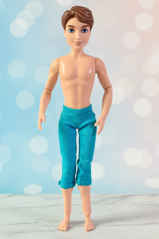 Hasbro Disney Descendants Prince Ben Fashion Doll.(Rs 200)
