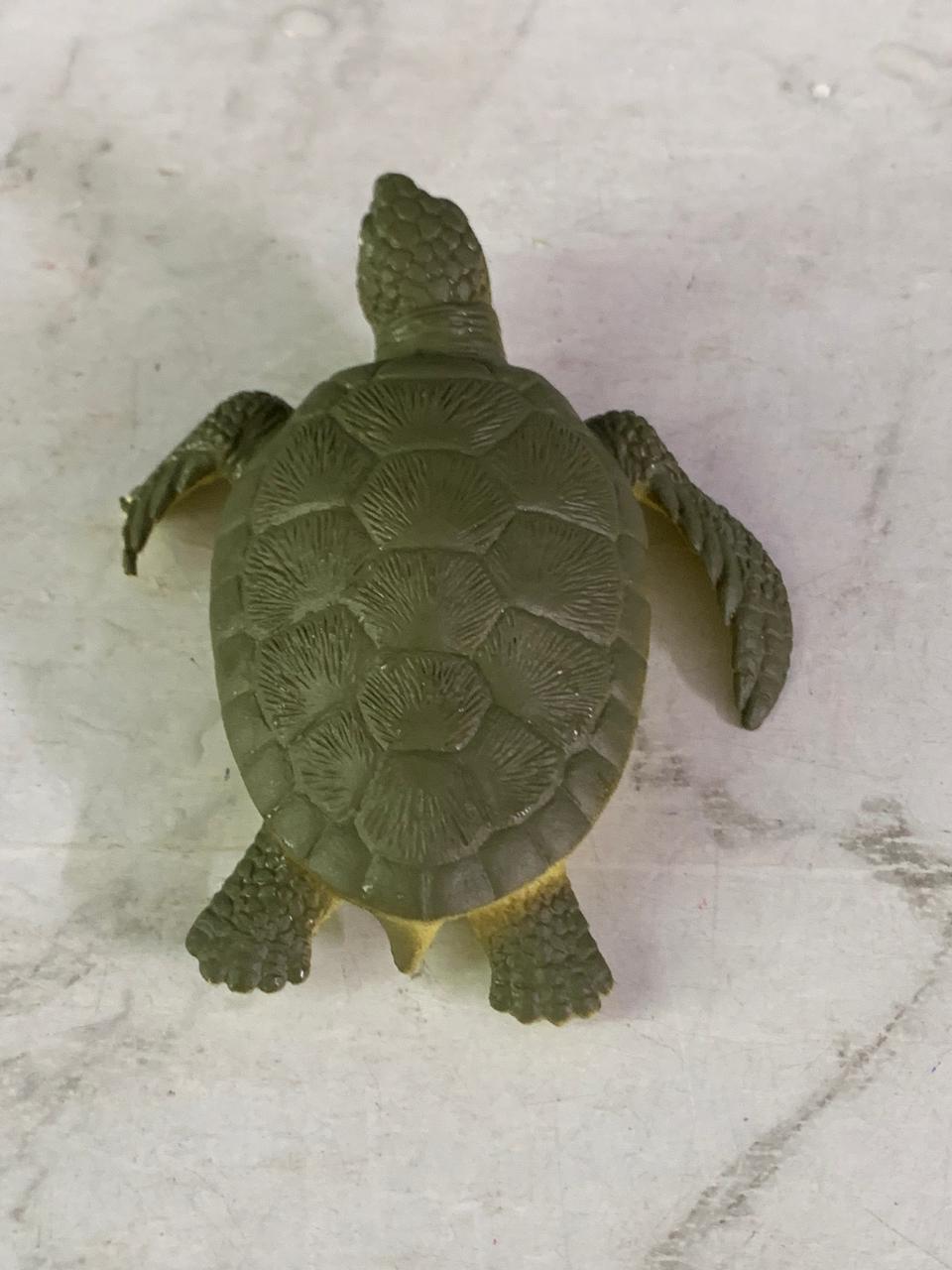 Toymany Sea Turtle Small Figurine.(Rs 100 advance)