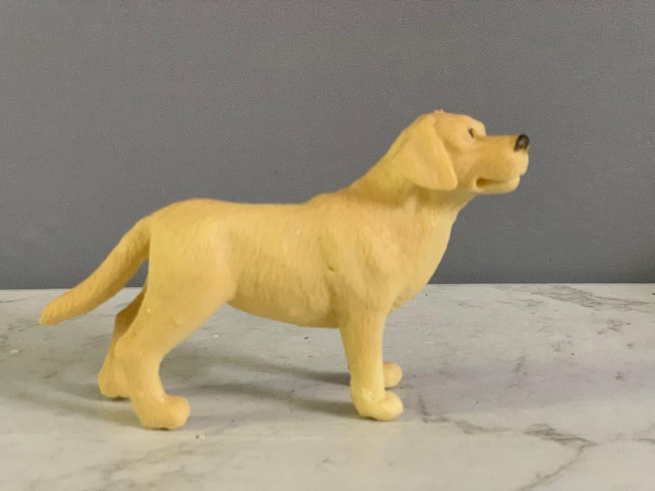 Schleich Golden Labrador Retriever Figurine.(Rs 100 advance)