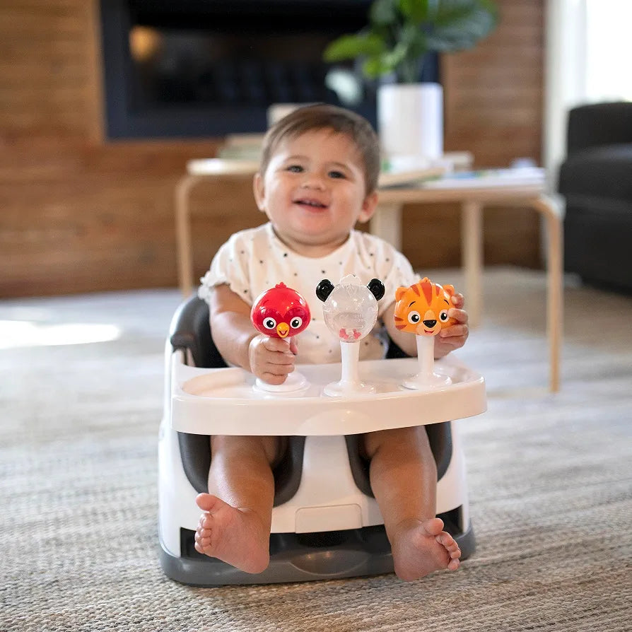 Baby Einstein Rattle &Jingle Toy.