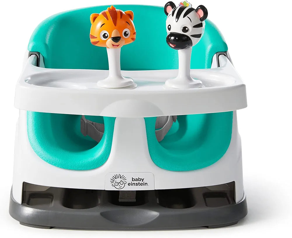 Baby Einstein Rattle & Jingle Toy.