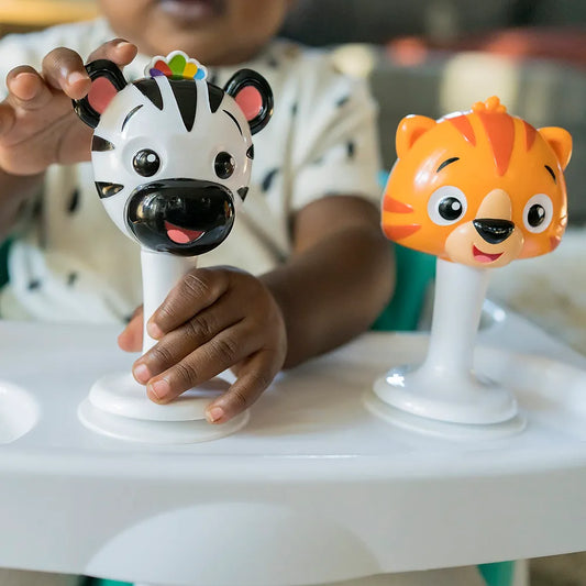Baby Einstein Rattle & Jingle Toy.