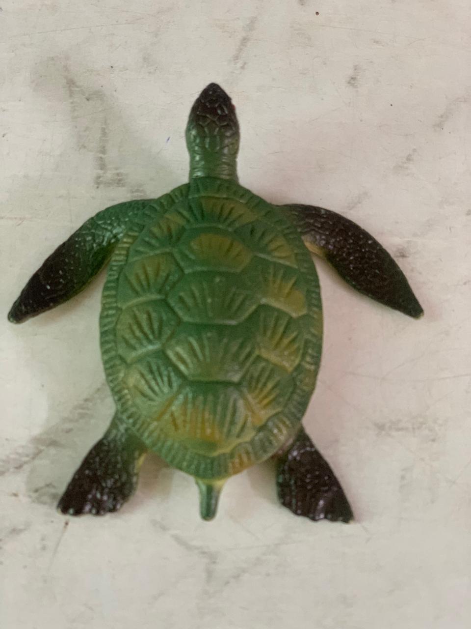 Zugar Land Green Turtle.