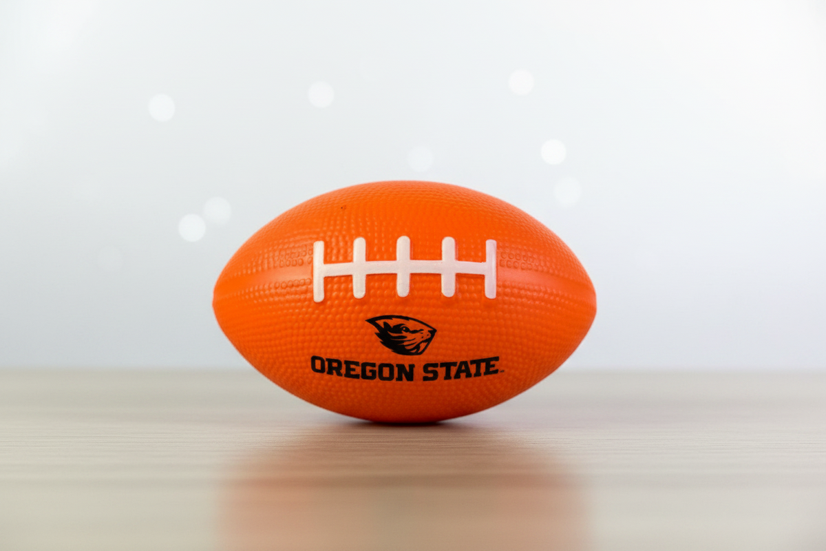 Miniature Foam Football.