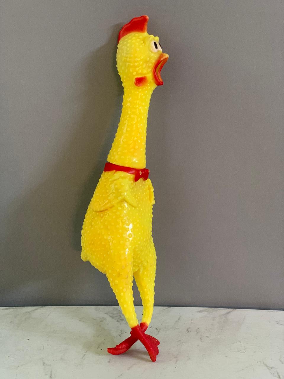 Squeaky Screaming Chicken Fun Pet. (Rs 100 advance)