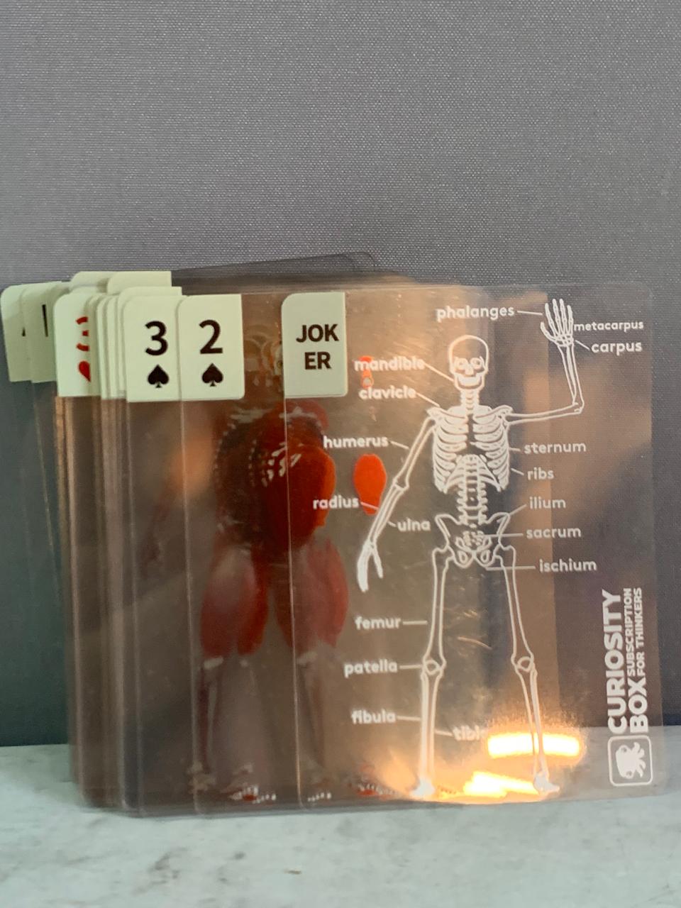 The Body Deck Transparent Anatomy Playing Cards.(Rs 250 advance)