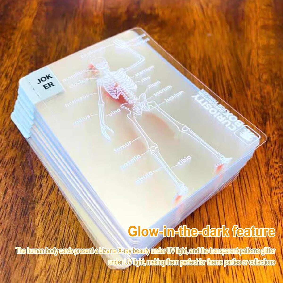 The Body Deck Transparent Anatomy Playing Cards.(Rs 250 advance)