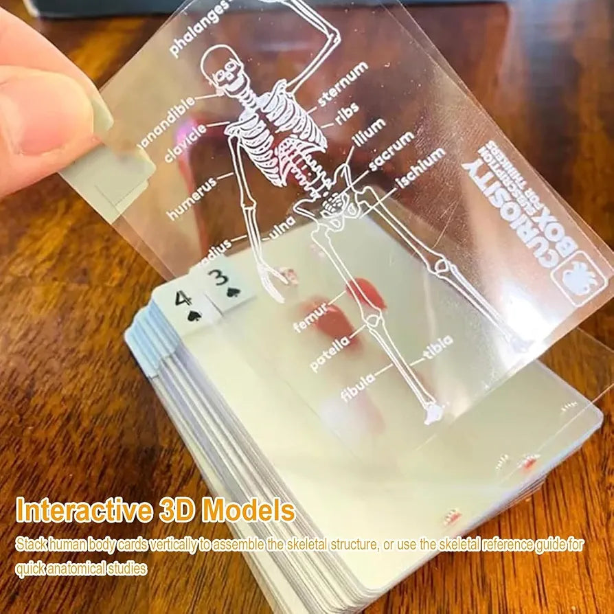 The Body Deck Transparent Anatomy Playing Cards.(Rs 250 advance)