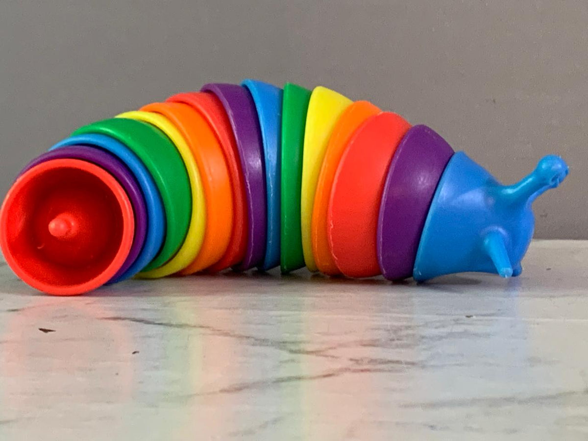 Sensory Puzzle Teaser Rainbow Wriggle Slug Fidget Toy.(Rs 100 advance)