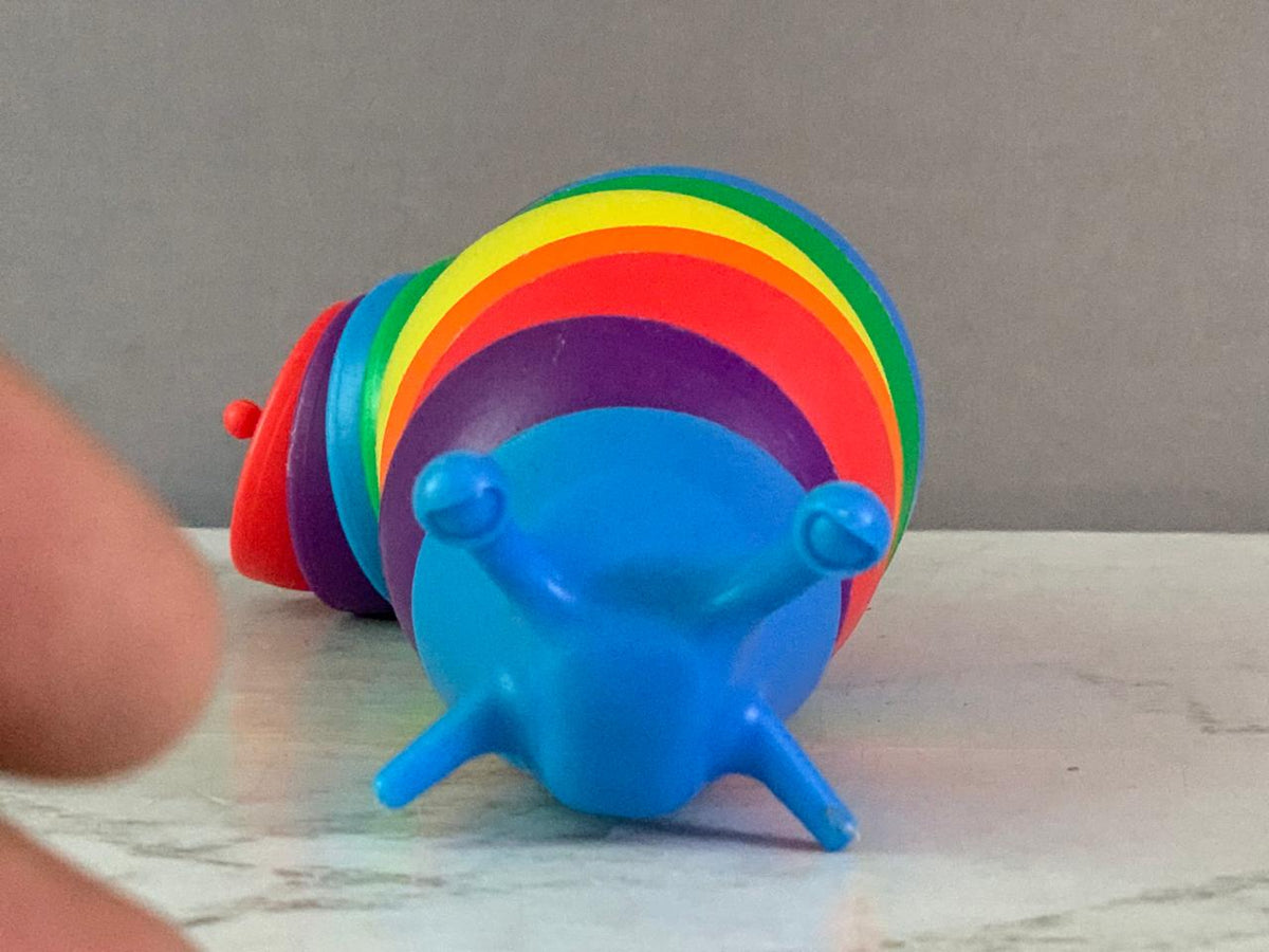 Sensory Puzzle Teaser Rainbow Wriggle Slug Fidget Toy.(Rs 100 advance)