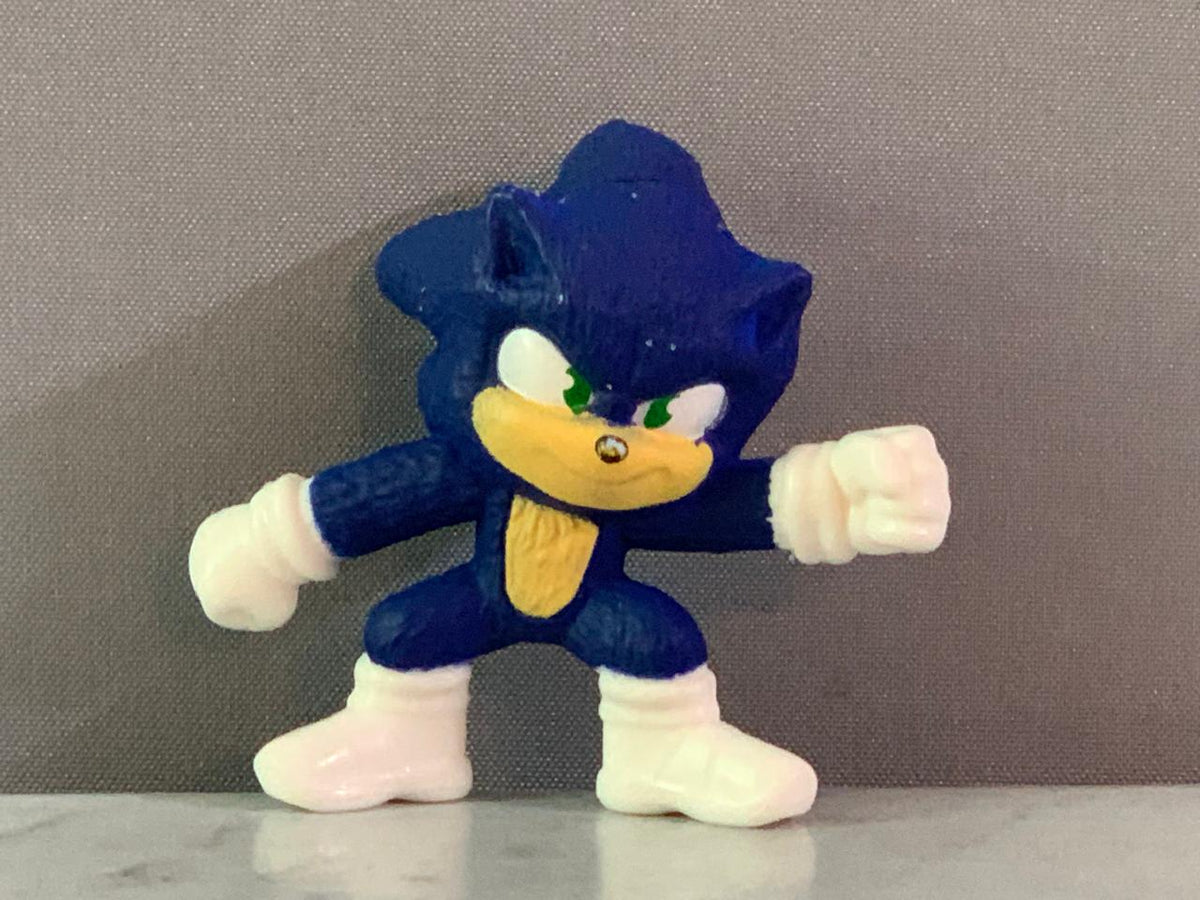 Sonic the Hedgehog Action Figure.