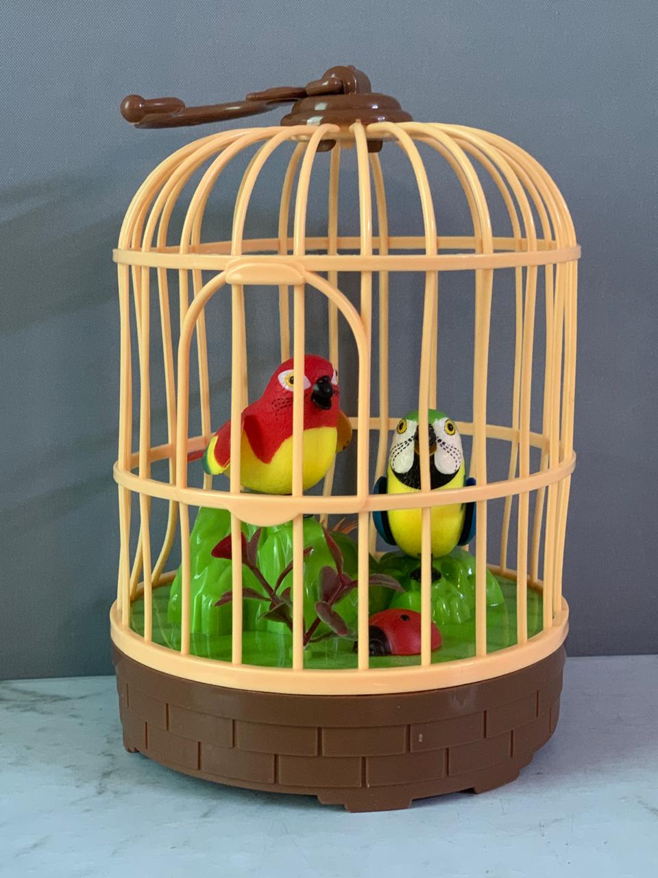 HWD Voice-Activated Bird Cage(Must check video)(Rs 200 advance)
