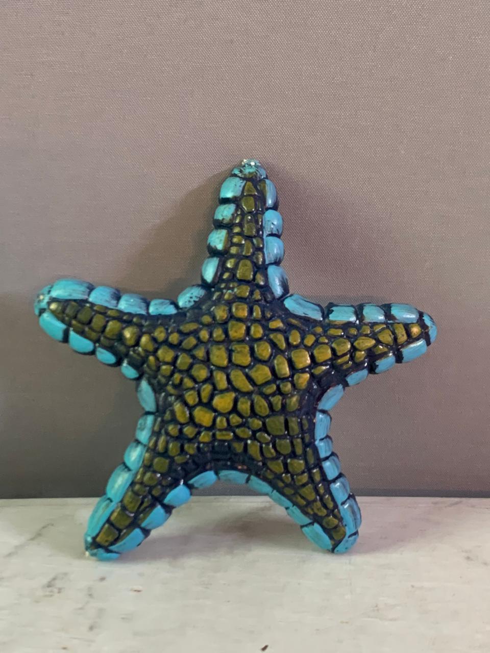 Starfish Sea Animal Diving Toy.