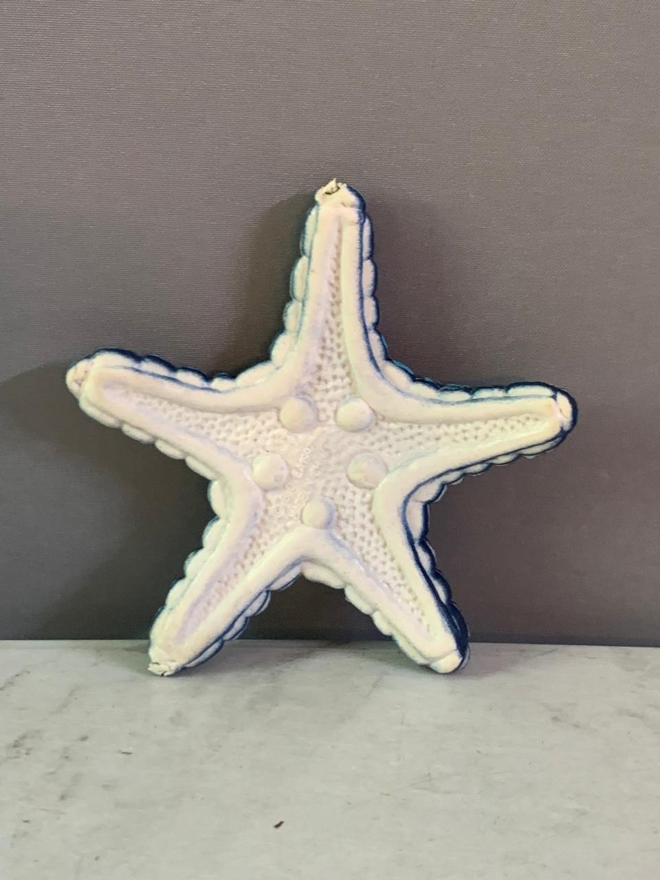 Starfish Sea Animal Diving Toy.