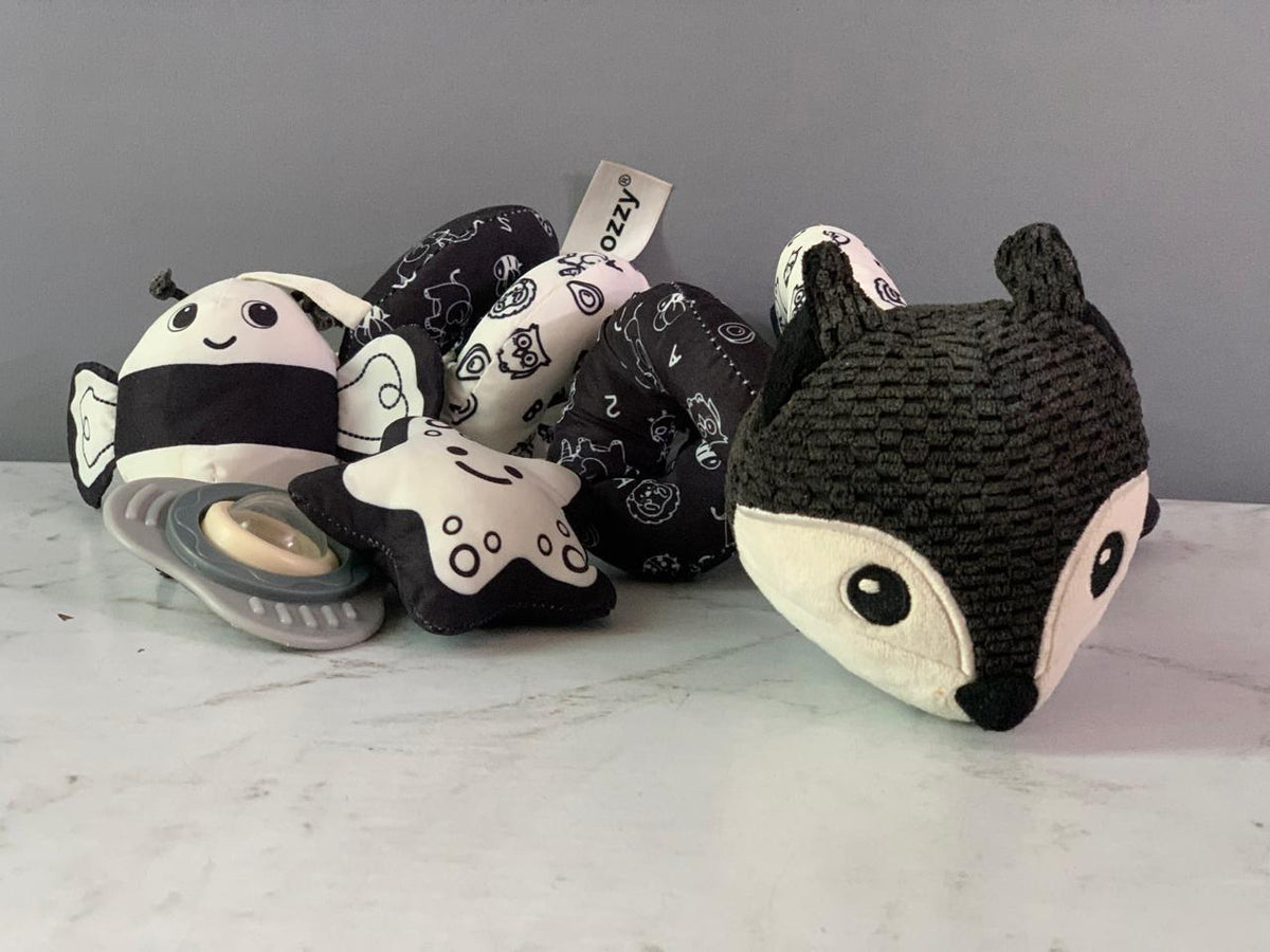 Black & White Spiral Activity Toy. (Rs 100 advance)