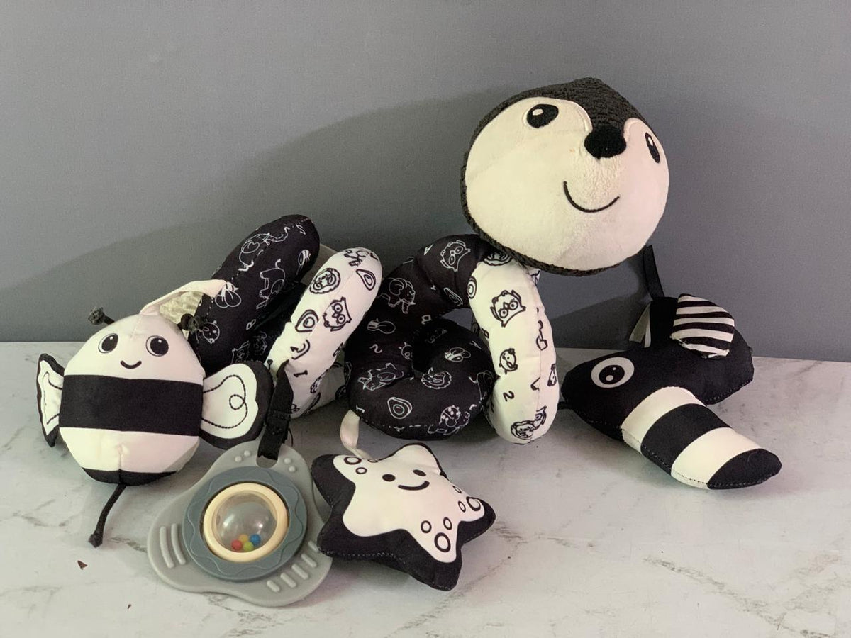 Black & White Spiral Activity Toy. (Rs 100 advance)