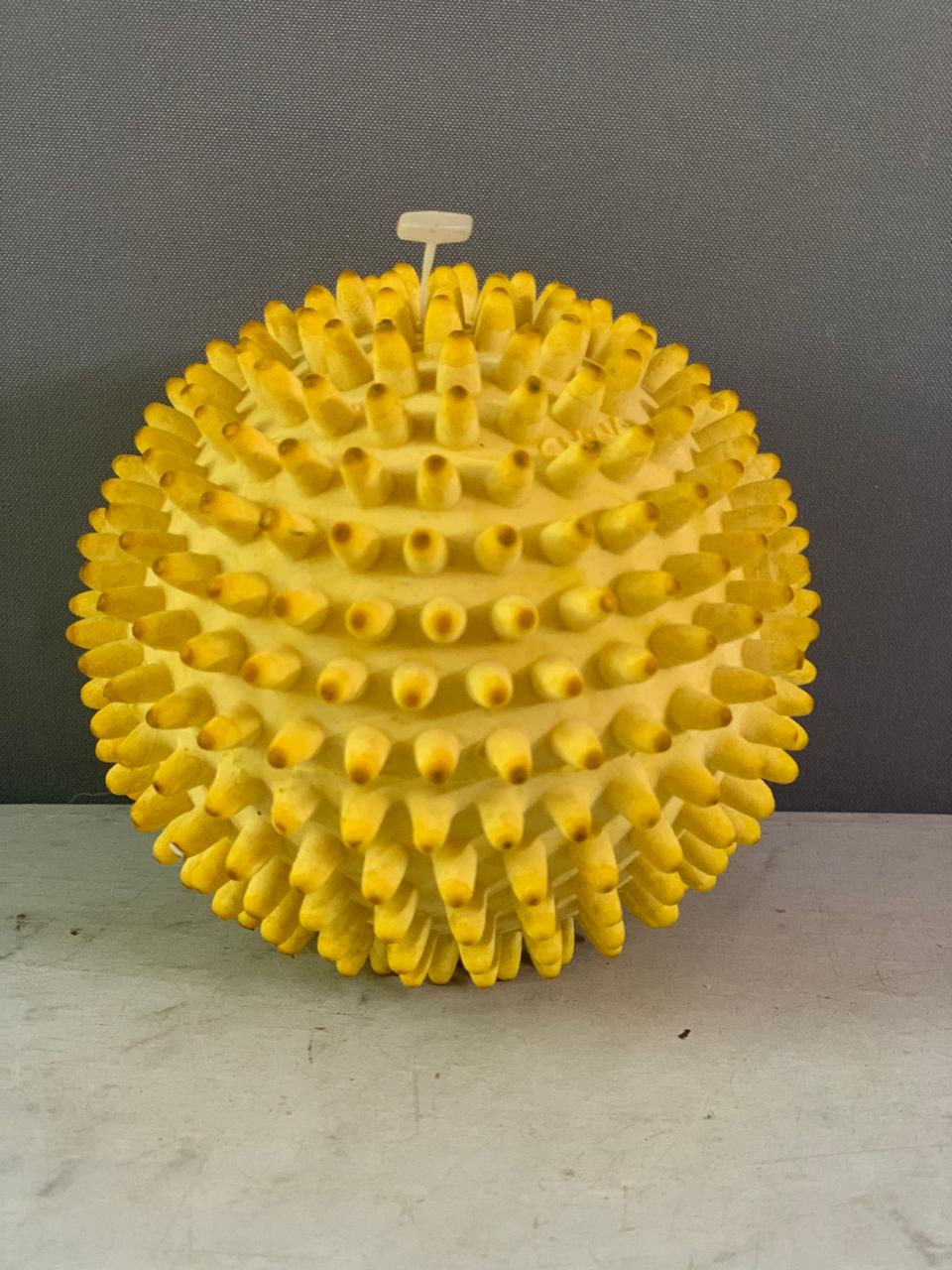 Spiky Stress Relief Toy.(Rs 150 advance)