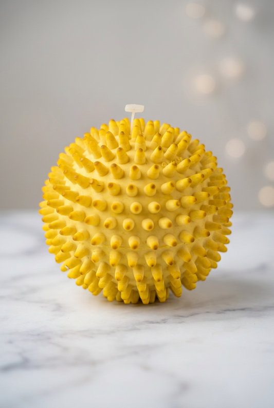 Spiky Stress Relief Toy.(Rs 150 advance)
