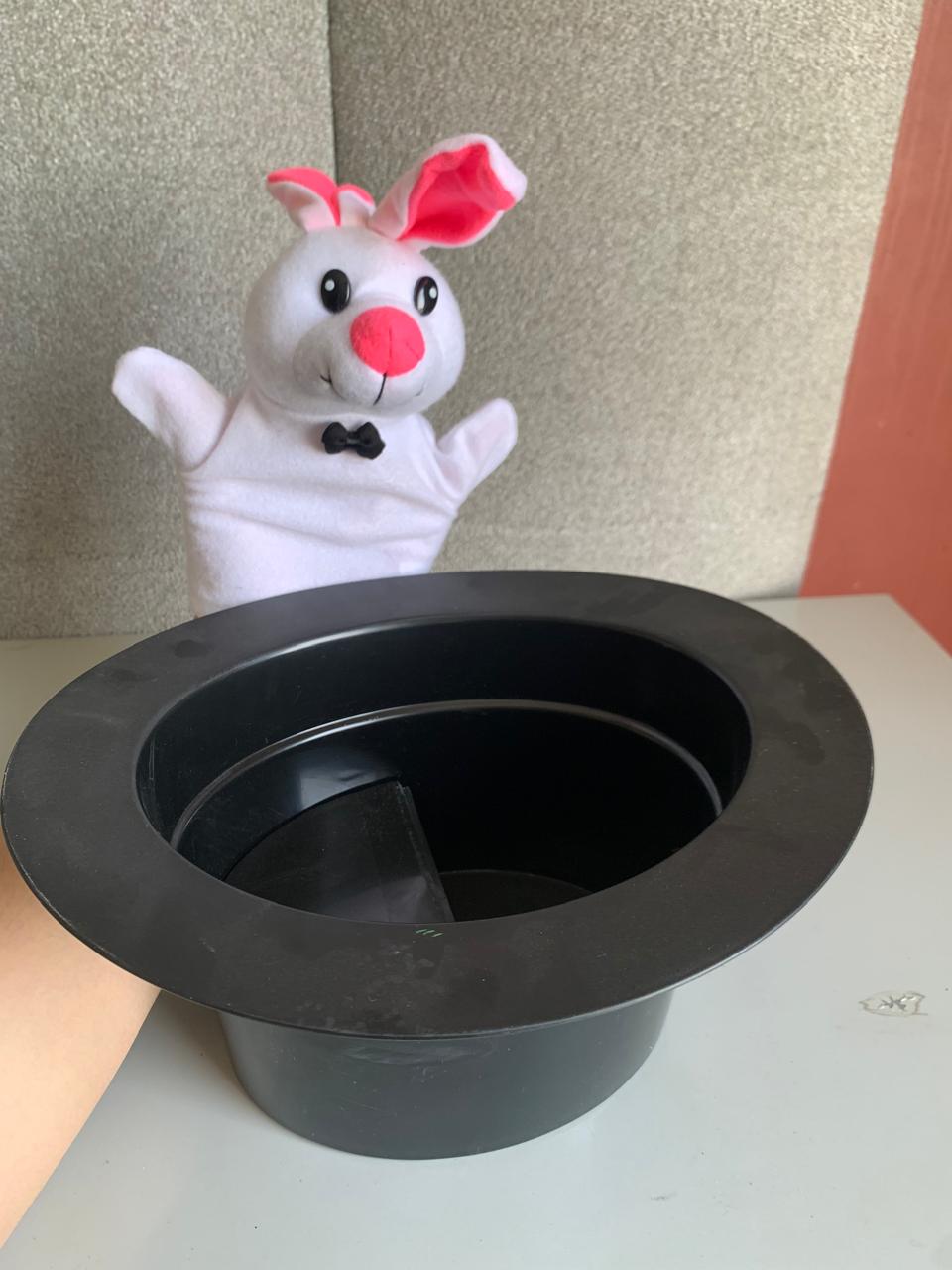 Children's Magic Hat With Bunny Hand Puppet. (Rs 200 advance)