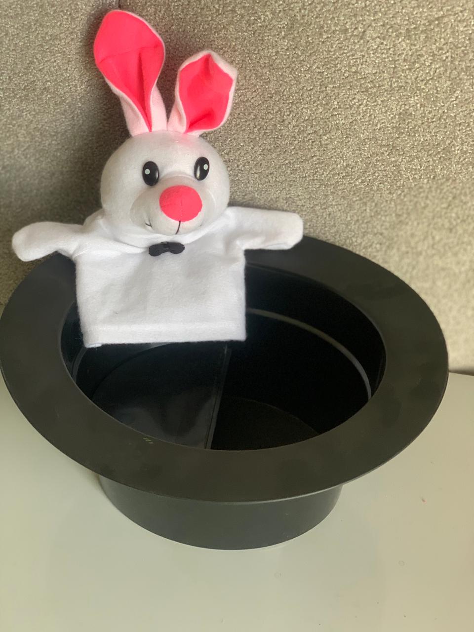 Children's Magic Hat With Bunny Hand Puppet. (Rs 200 advance)