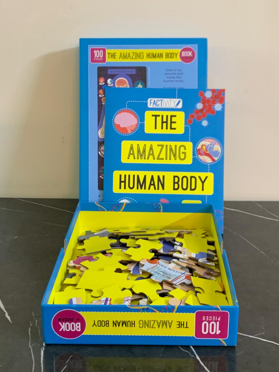 Factivity: The Amazing Human Body book. SKU:BXL-113