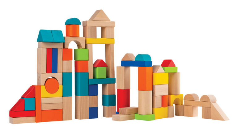 Imaginarium 75 Piece Wooden Block Set. (Rs 400 advance) SKU:BXL-005