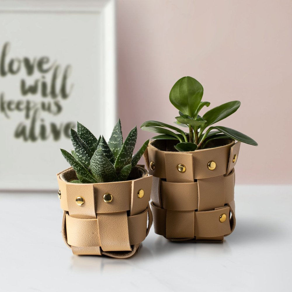 The Creative Stall Baskets Weaving Kit. SKU:BXL-039