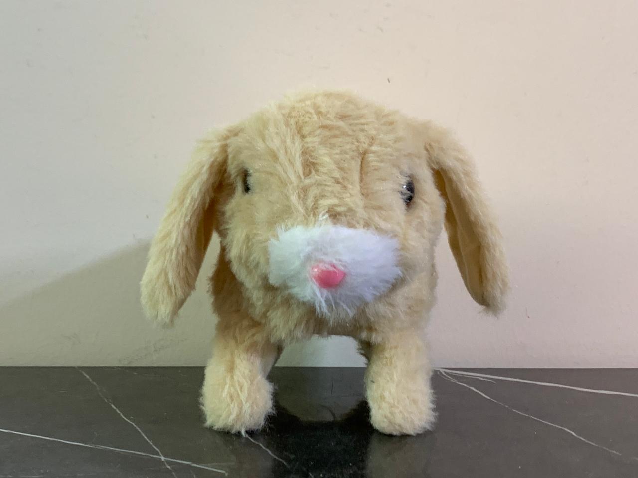 Pitter Patter Pets Teeny Weeny Bunny - Floppy Eared. SKU:BXL-008