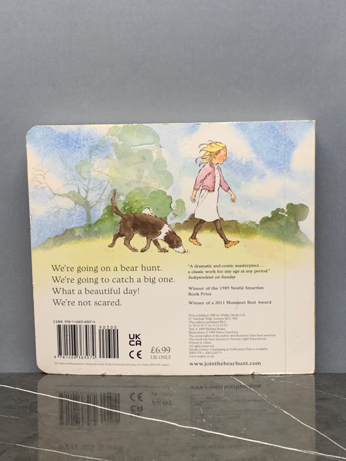 "We're Going on a Bear Hunt." Picture Book (board book)
