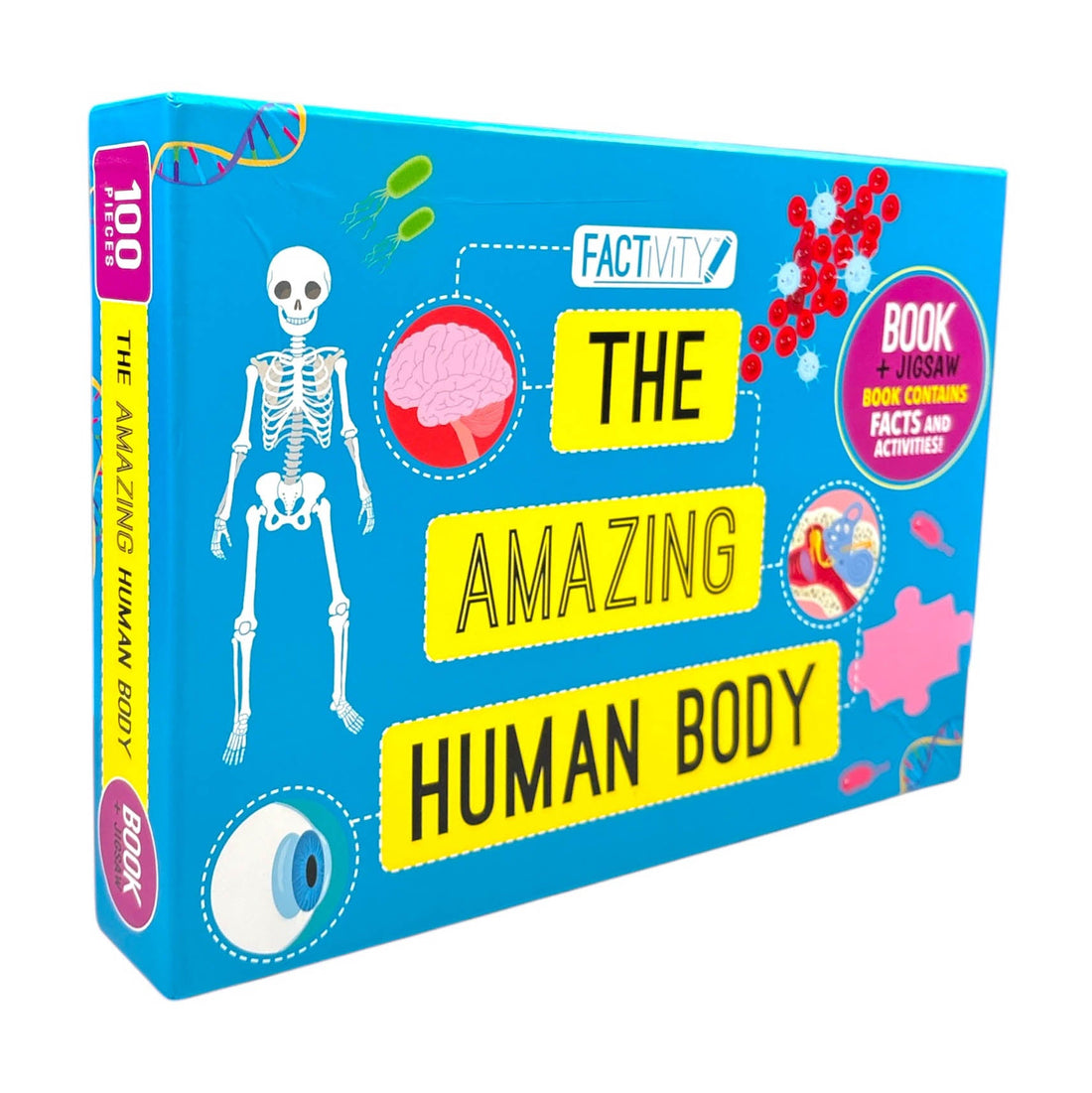 Factivity: The Amazing Human Body book. SKU:BXL-113