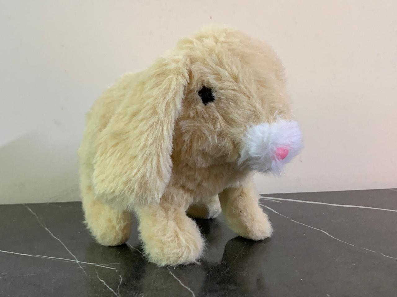 Pitter Patter Pets Teeny Weeny Bunny - Floppy Eared. SKU:BXL-008