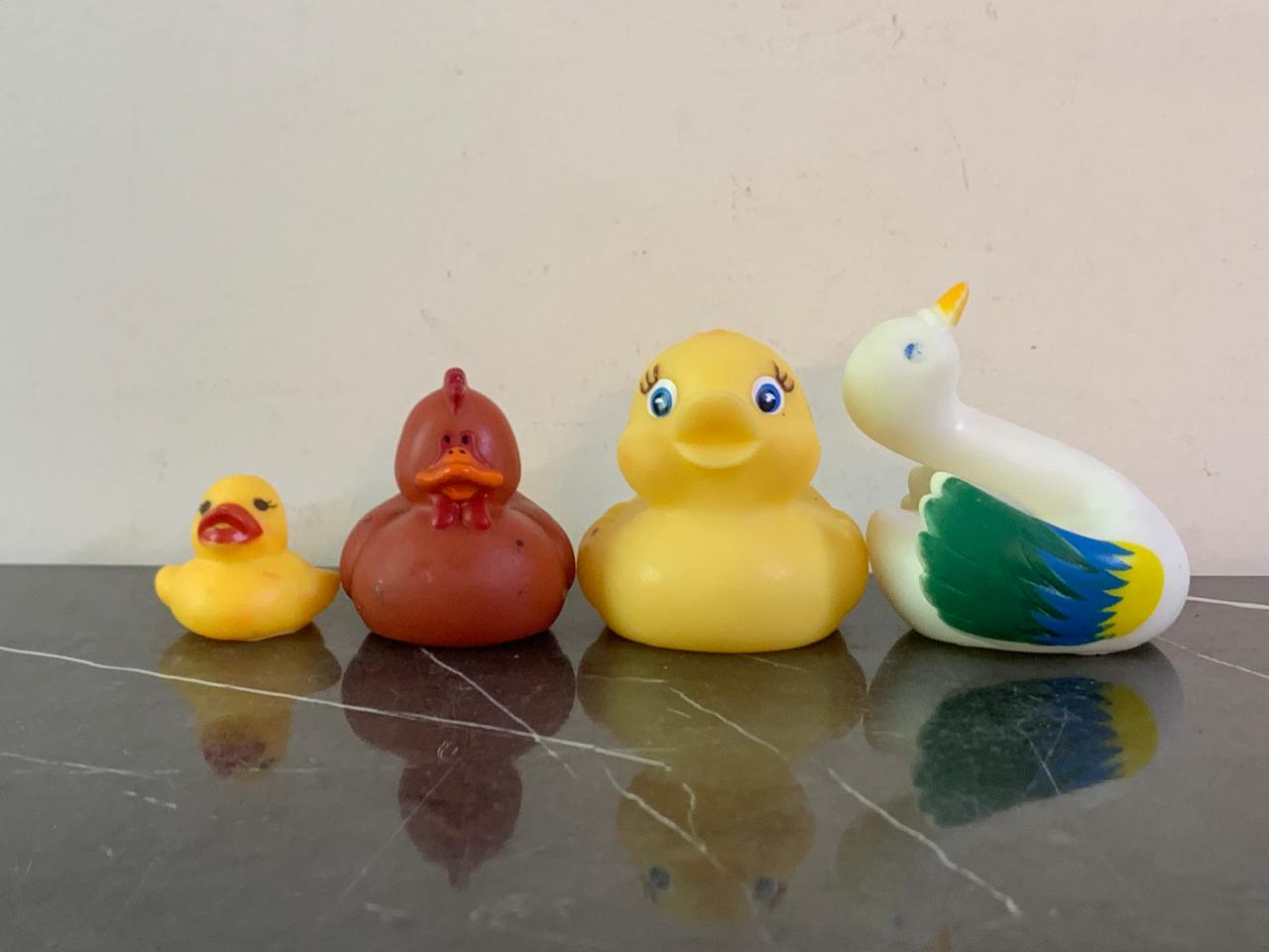 Rubber Ducks. SKU:BXL-116