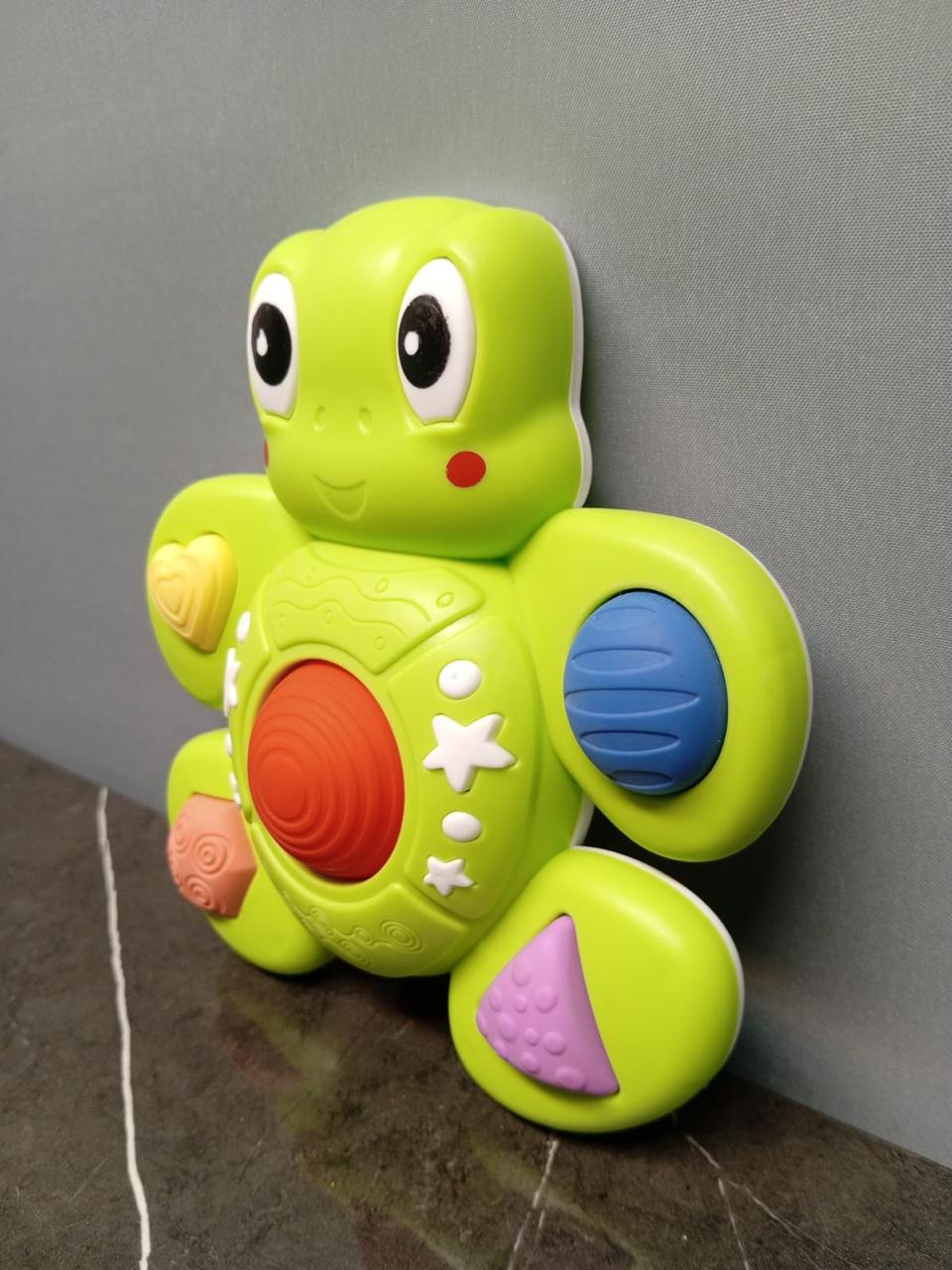 Sensory Turtle Toy - Anko