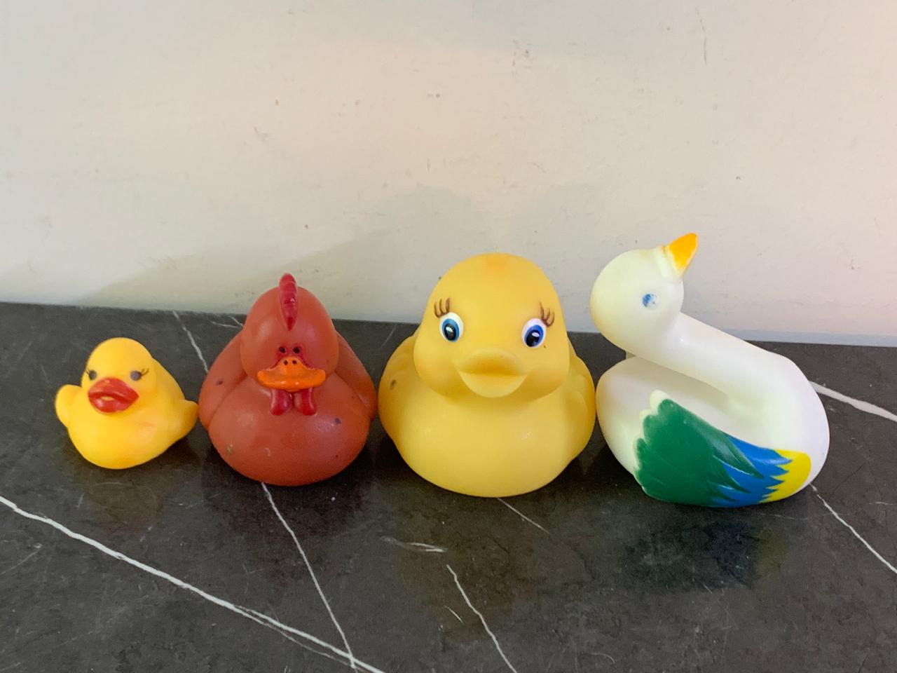 Rubber Ducks. SKU:BXL-116
