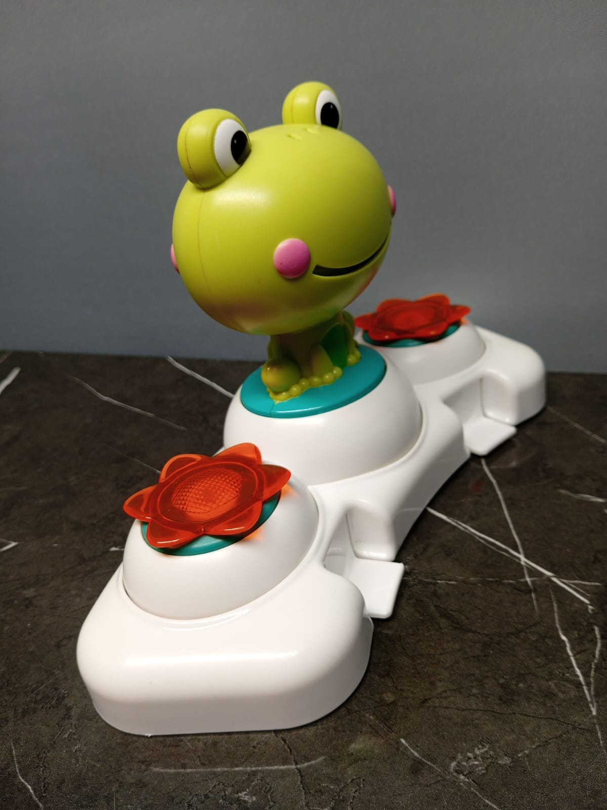 Musical Frog Toy