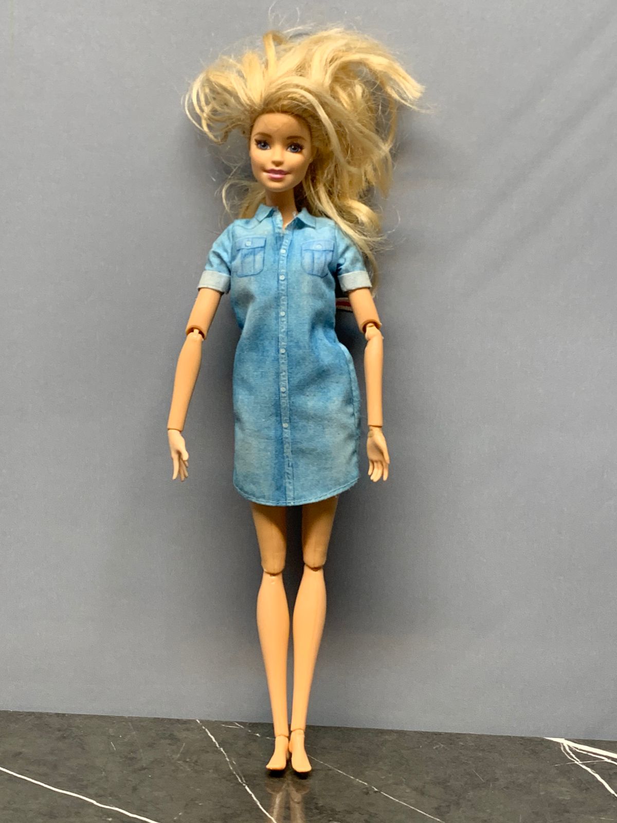 Barbie Dreamhouse Adventure Doll.