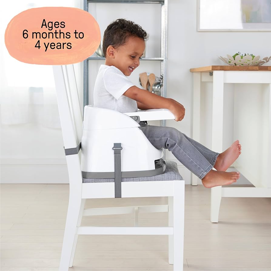Ingenuity Baby Base 2-in-1 Booster Seat. (Rs 500 advance)