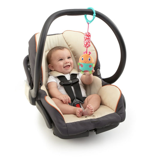 Bright Starts Chime Along Friends On-the-Go Take-Along Toy.