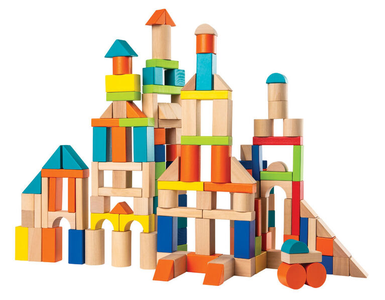 Imaginarium Discovery Wooden Block Set. (140 pieces available) SKU:BXL-005 (Rs 450 advance)