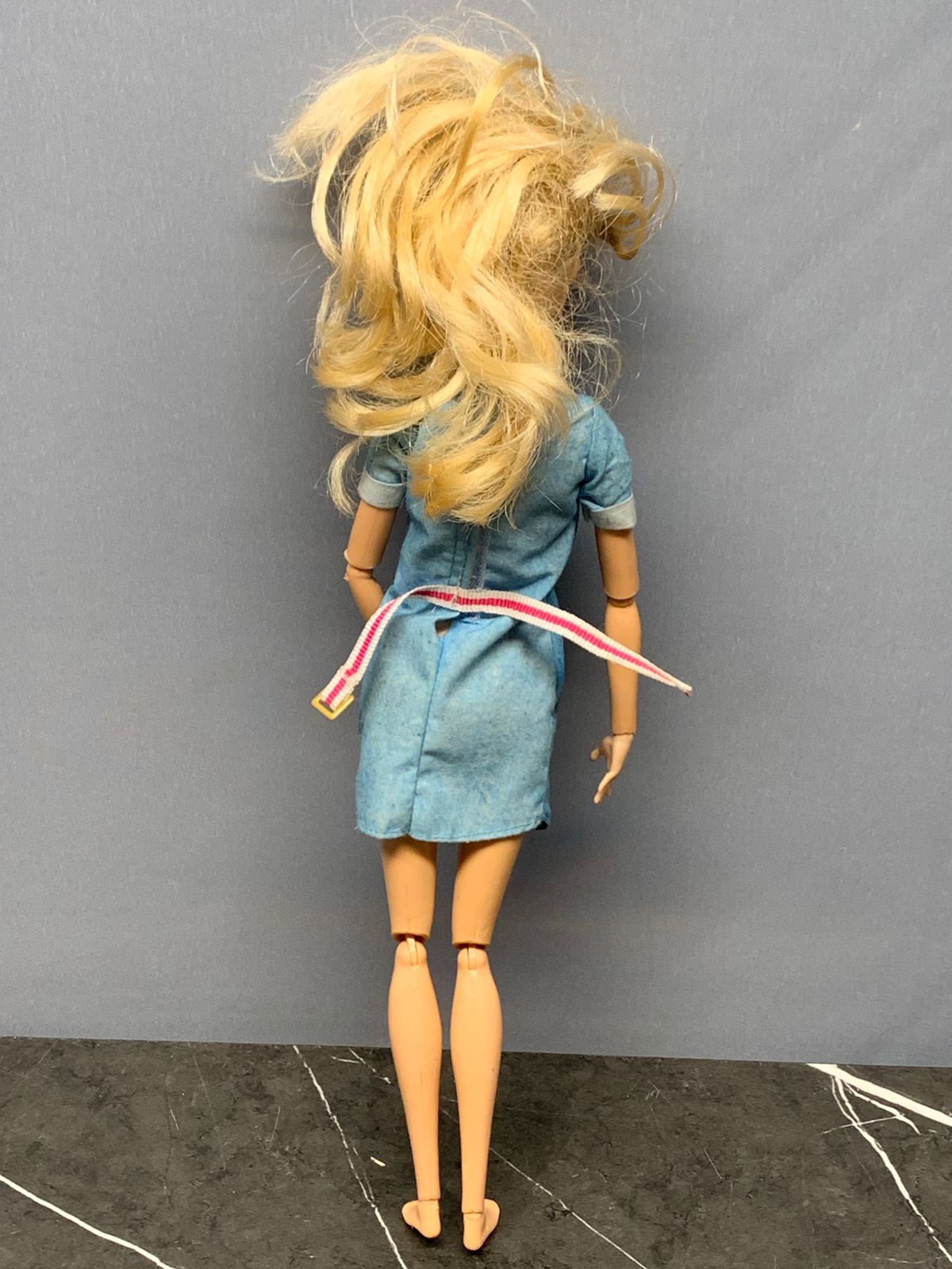 Barbie Dreamhouse Adventure Doll.