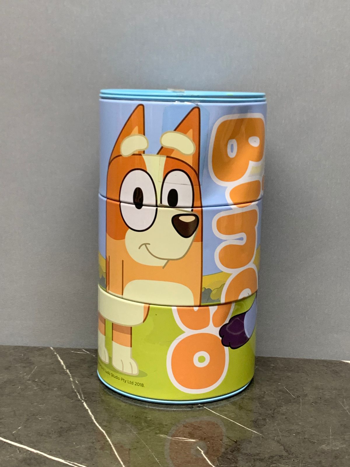 Bluey and Bingo Tin Money Box. (Slightly dented)