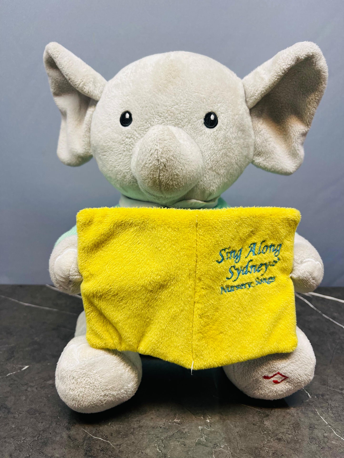 Cuddle Barn Sing Along Sydney.
