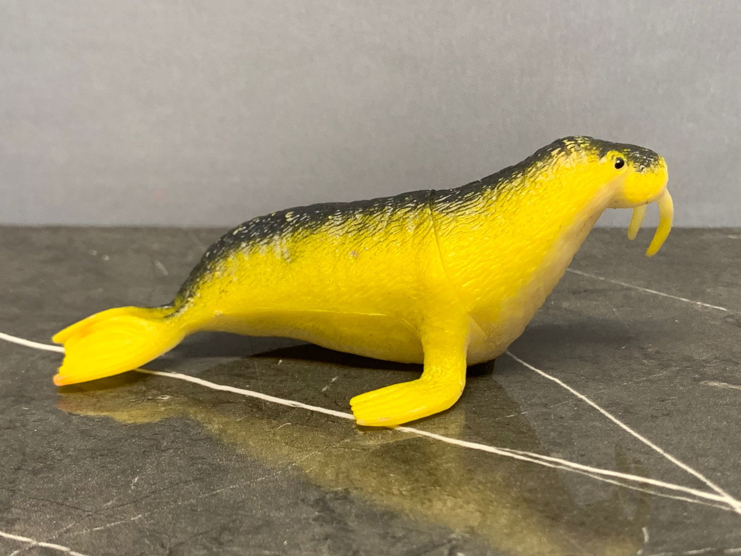 Walrus Toy.