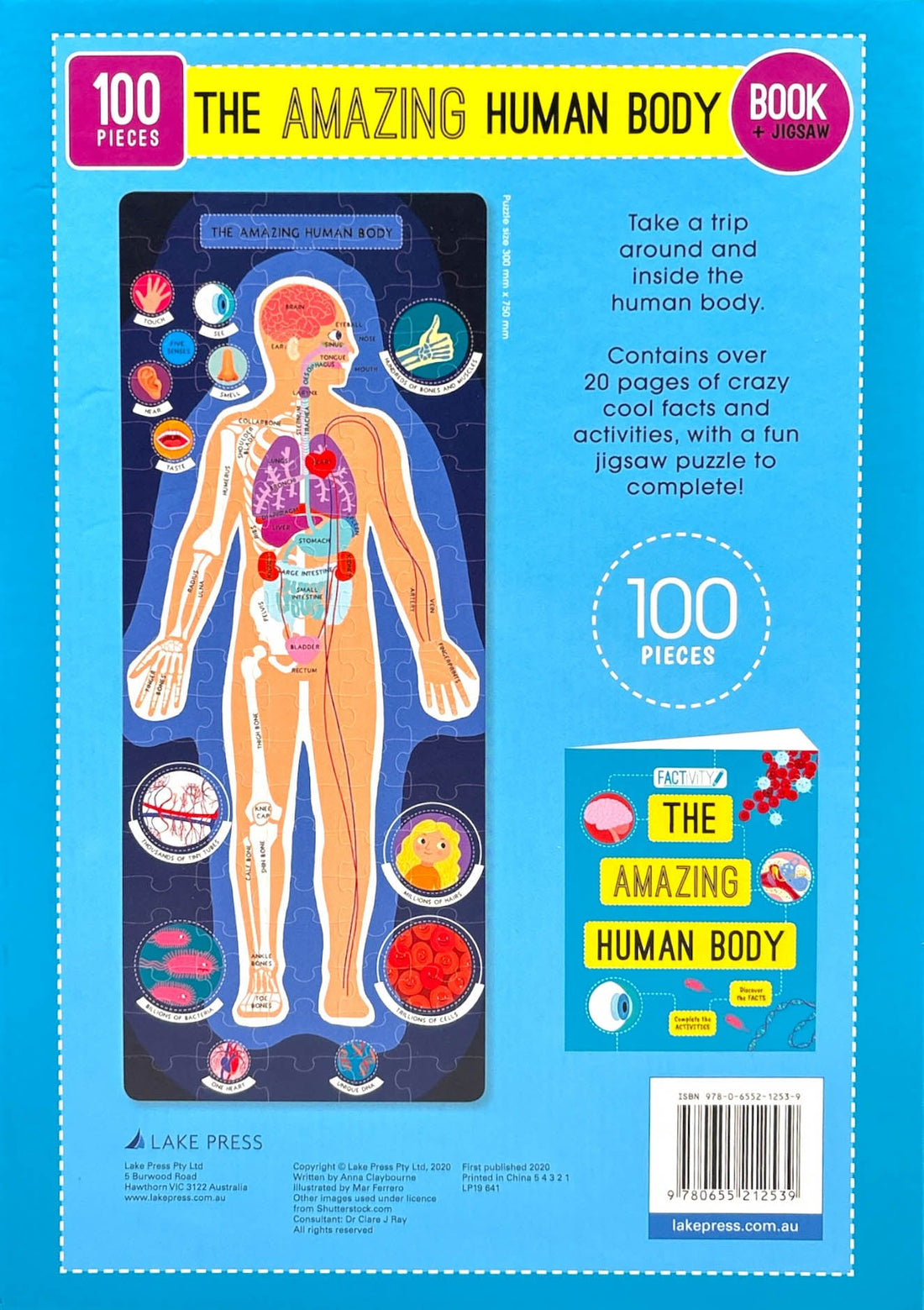 Factivity: The Amazing Human Body book. SKU:BXL-113