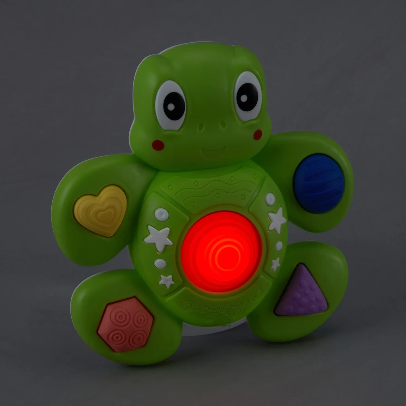 Sensory Turtle Toy - Anko