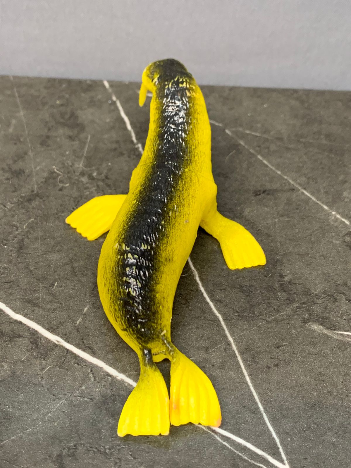 Walrus Toy.